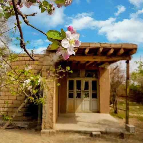 جواد نکایی دنیا ندمه تره والله ندمه
